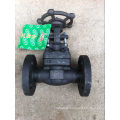 API602 Forged Steel Flange Gate Valve (Z41Y-3/4"-300LB)